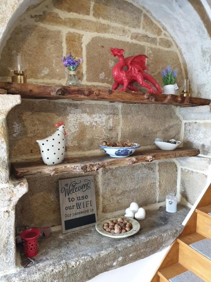 Le Petit Dragon Bed & Breakfast Plumaudan Exterior foto